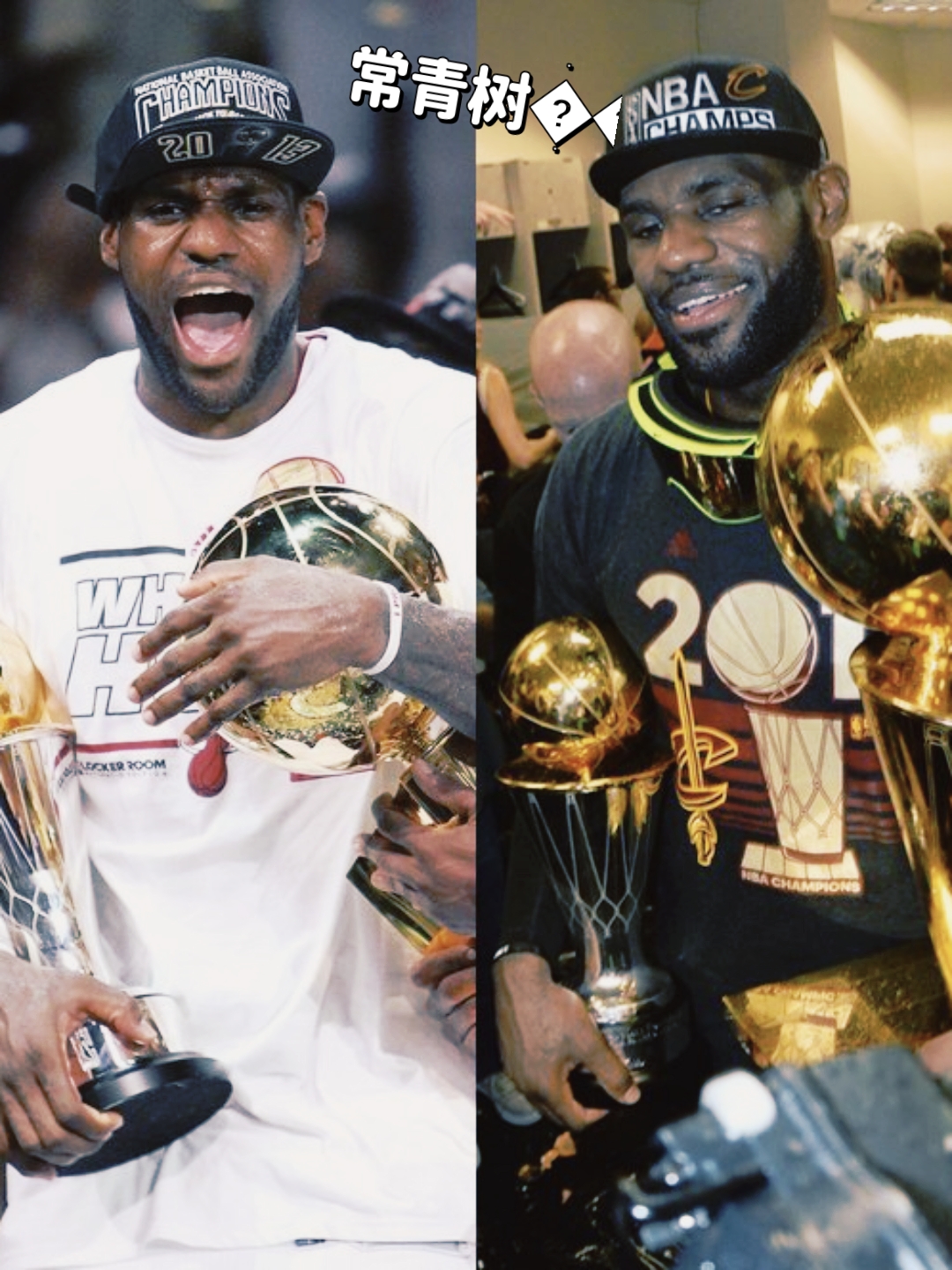 欧洲篮球联赛谁将问鼎总冠军