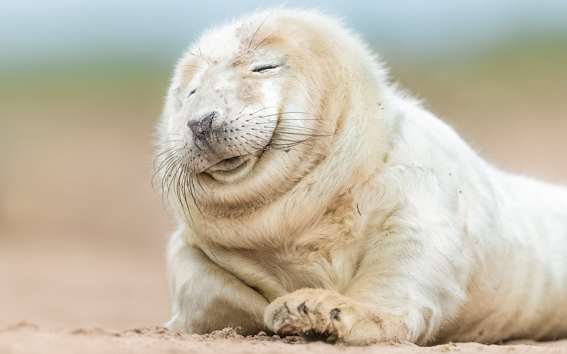 当瑞士军刀在最后一刻出鞘，弗拉霍维奇生涯之夜与足球的宿命感