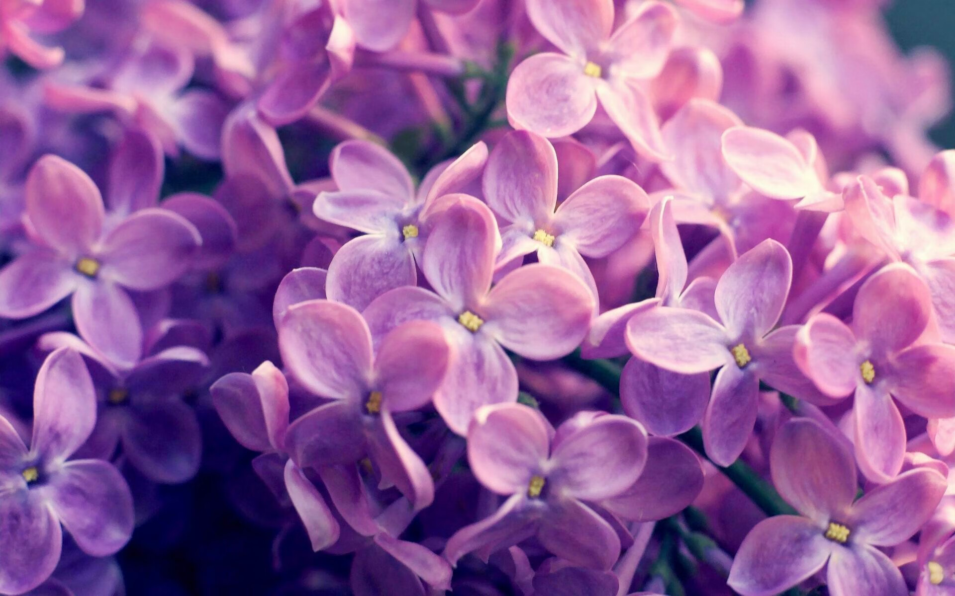 希腊巅峰对决,奥运周期关键战,决胜巴黎之路